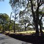Western Placer County Roads