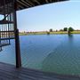 Oasis K Ranch