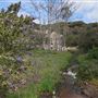 Stone Meadows Ranch