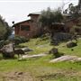 Stone Meadows Ranch