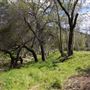 Stone Meadows Ranch