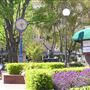 San Rafael