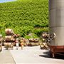 Kunde Family Winery