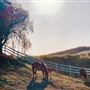 Moorheart Farm