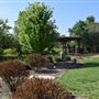 Olive Ranch