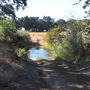 DLX Ranch