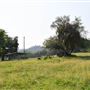 Sinclair Family Farm