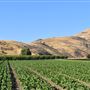 Rancho Temescal