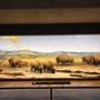 Museum of Natural History, Los Angeles