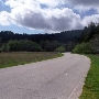 Henry Cowell Redwoods State Park (SP)