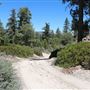 Camp Cedar Lake