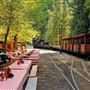 Yosemite Mountain Sugar Pine Railroad