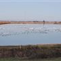 Sutter Bypass Wildlife Area - California Department of Fish & Wildlife (CDFW)