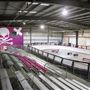 Derby Dolls - Banked Track Roller Derby