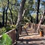 Calamigos Ranch