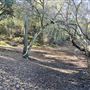 Calamigos Ranch