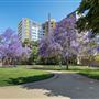 Park La Brea Community