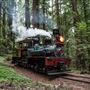 Roaring Camp Railroad