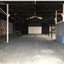 Willow Studios