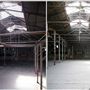 Willow Studios