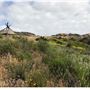 Wildwood Regional Park