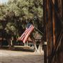 Taft Historic Fort