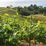 Landmark's Hop Kiln Estate