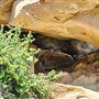 Rocky Peak Park