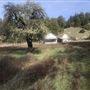 Browder Ranch