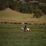 Rankin Ranch - California Cattle & Guest Ranch