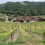 Halter Ranch