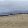 Oceano Dunes State Vehicular Recreation Area (SVRA) / Pismo State Beach (SB)