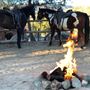Coulombe Ranch