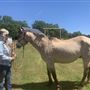 Wild Horse Sanctuary