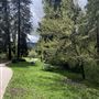 Mt. Shasta City Park