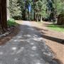 Mt. Shasta City Park