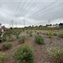 San Gabriel River Park