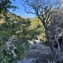 20 acres of Alpine mountainside with forests, granite and beautiful views