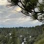 20 acres of Alpine mountainside with forests, granite and beautiful views
