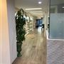 Rancho Park Compounding Pharmacy