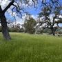 Driftwood Ranch