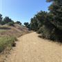 Malibu Creek State Park (SP)