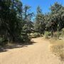 Malibu Creek State Park (SP)