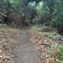 Cleveland National Forest