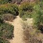 Staircase Beach @ Leo Carrillo State Park (SP) - CFC