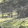 Tehachapi Log Cabin