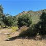 Tapia Park @ Malibu Creek State Park (SP)