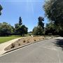 Lacy Park