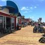 Blazing Saddles Beach Rentals & Tours