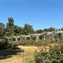 Huntington Library, Art Museum, and Botanical Gardens